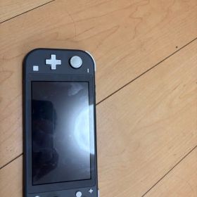 Nintendo Switch Lite グレー