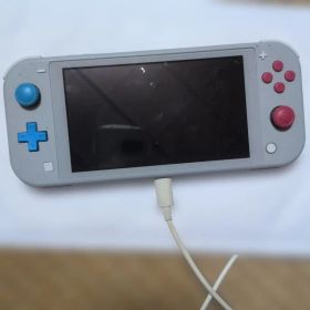 ジャンク品Nintendo Switch Lite グレー