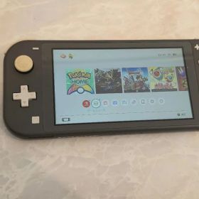 Switchライト グレー