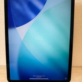 Apple iPad Pro 11インチ スペースグレー