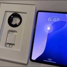 【ほぼ未使用】Apple iPad Pro 11インチ M4 256GB