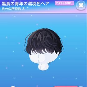 黒鳥の青年の濡羽色ヘア | ポケコロのアイテム、RMTの販売・買取一覧