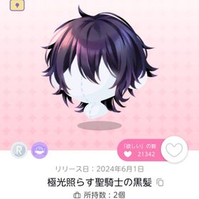 極光照らす聖騎士の黒髪 | ポケコロツイン(ポケツイ)のアカウントデータ、RMTの販売・買取一覧