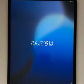 iPad pro 12.9インチ 256GB Gen3 スペースグレイ