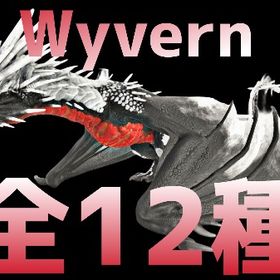 RARE SUPPORT アイスワイバーン全12種11/23更新 | ARK Survival Evolvedのアカウントデータ、RMTの販売・買取一覧