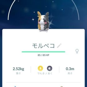 totoさま専用 | ポケモンGOのアカウントデータ、RMTの販売・買取一覧