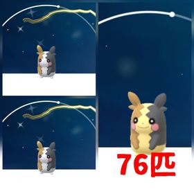 93⭐️PTC⭐️国産⭐️砂49万!色違いモルペコ2匹、通常モルペコ76匹 | ポケモンGOのアカウントデータ、RMTの販売・買取一覧