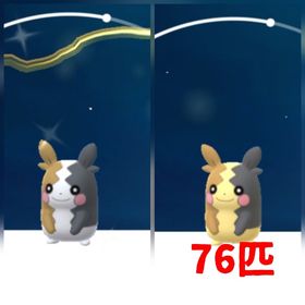 87⭐️PTC⭐️国産⭐️砂91万色違いモルペコ、通常モルペコ76匹 | ポケモンGOのアカウントデータ、RMTの販売・買取一覧