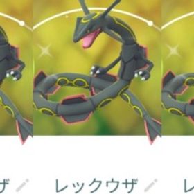 8942【PTC】在庫残り僅か！レックウザ12匹 内色違い3匹 いんせき1 | ポケモンGOのアカウントデータ、RMTの販売・買取一覧