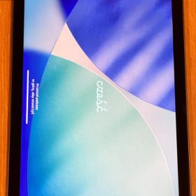 iPad mini wifi＋セルラー(第6世代) 256G おまけ付き