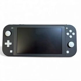Nintendo Switch Lite グレー 本体