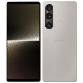 【ほぼ新品・本体のみ】Xperia 1 V A301SO Softbank シルバー 【日曜日以外即日発送】【送料無料】