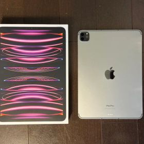 iPadPro11インチ第4世代128GB WiFi + Cellularモデル