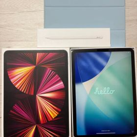 iPad Pro 11 (第3世代) WiFiモデル 512GB ペン付き