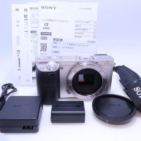 【9,230回】SONY α6000 ボディ シルバー ILCE-6000 S ミラーレス一眼