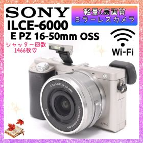 ❤即購入1000円OFF❤ SONY α6000 驚異の11コマ/秒 高速連写