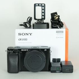 [良品 | シャッター数27,960回｜L型ブラケット付] SONY α6100（ILCE-6100） [ボディ ブラック] | SONY Eマウント