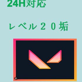 💥即購入可能！ 20lv以上 完全正規 VALORANT 垢 | VALORANT(ヴァロラント)のアカウントデータ、RMTの販売・買取一覧