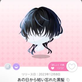 あの日から結い忘れた黒髪 | ポケコロツイン(ポケツイ)のアカウントデータ、RMTの販売・買取一覧