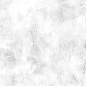 おもち様 専用 | ポケコロツイン(ポケツイ)のアカウントデータ、RMTの販売・買取一覧