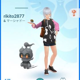 元TL47 引退アカウント 現TL70 色違いネクロズマ ムゲンダイナ所持 | ポケモンGOのアカウントデータ、RMTの販売・買取一覧