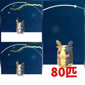 91⭐️PTC⭐️国産⭐️砂71万!色違いモルペコ2匹、通常モルペコ80匹 | ポケモンGOのアカウントデータ、RMTの販売・買取一覧