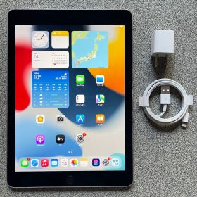 送無料F13 iPad Air 第2世代 スペースグレイ 128GB Wi-Fi
