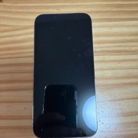 こ*☆様 Apple iPhone 13 Pro グラファイト