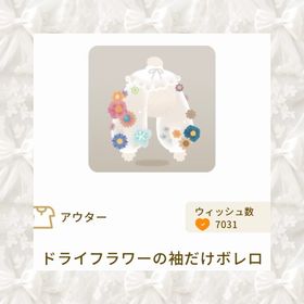 ドライフラワーの袖だけボレロ | リヴリーアイランドのアイテム、RMTの販売・買取一覧