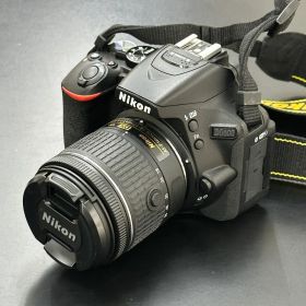 Nikon D5600 AF-P DX 18-55mm VR レンズキット