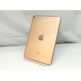 【中古】Apple SoftBank 【SIMロック解除済み】 iPad mini（第5世代/2019） 64GB ゴールド MUX72J/A【札幌】保証期間１ヶ月【ランクB】