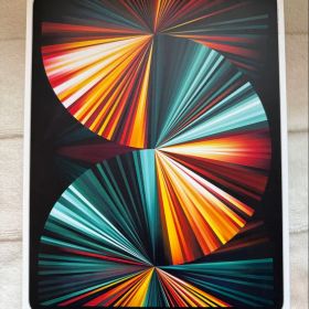 iPad Pro 12.9 512GB Wi-Fi Cellular豪華4セット