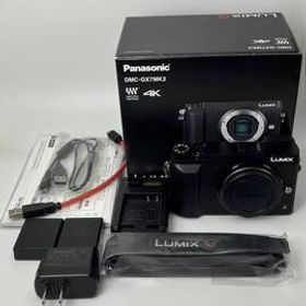 【返品保証・動作確認済】Panasonic LUMIX DMC-GX7MK2