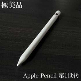 極美品 正常動作確認済み Apple Pencil 第1世代 K1