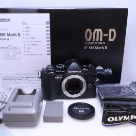 【3,102回】OLYMPUS OM-D E-M5 MarkIII ボディー ブラック ミラーレス一眼カメラ