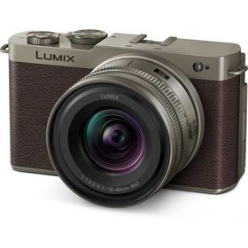 パナソニック フルサイズミラーレス一眼カメラ「LUMIX DC-S9」広角ズームレンズキット（チタンゴールド） DC-S9N-N Panasonic