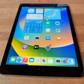 iPad 第5世代 32GB SIMフリー MP1L2J/A A1823 起動