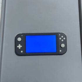 [最終値下げ]ジャンク品 Switch lite グレー