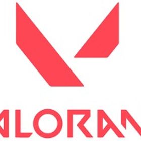 ブロンズアカウント（ランダムスキン） | VALORANT(ヴァロラント)のアカウントデータ、RMTの販売・買取一覧