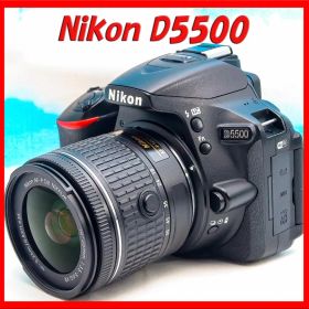 ニコン Nikon D5500⭐️スマホ転送機能付⭐️超高画質2416万画素