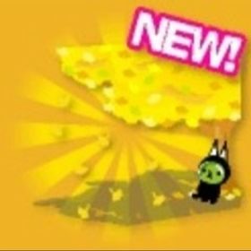 大きなイチョウの下で キャラ連動 | スペースデブリーズのアカウントデータ、RMTの販売・買取一覧