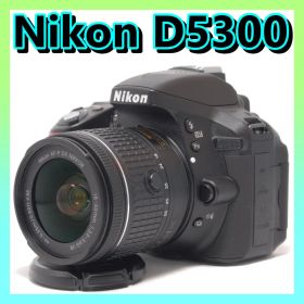 ⭐️スマホ転送OK⭐️Nikon D5300 ニコン デジタル一眼レフ