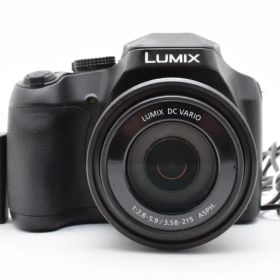 ■ 美品 ■ パナソニック Panasonic DC-FZ85