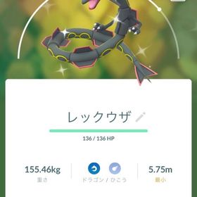 🔥✨色違いレックウザ + ガリュウテンセイ 1000円 | ポケモンGOのアカウントデータ、RMTの販売・買取一覧