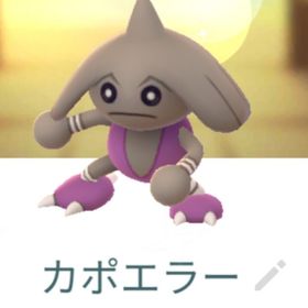 色違いカポエラー トレード | ポケモンGOのアカウントデータ、RMTの販売・買取一覧