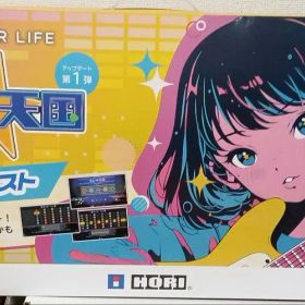 Switch GUITAR LIFE -LESSON1- 付属品完備