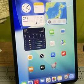【訳あり品！大人気Wi-Fiモデル！】iPad pro(M4)11インチ Wi-Fiモデル 256GB グレー 即決あり！ PVV83J/A 1円スタート !