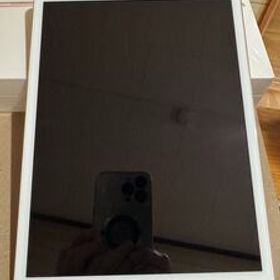 Apple iPad7 128GB MW792J/A wi-fi GOLD 中古極美品