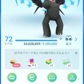 TL72 最強引退垢 伝説454 色違い308 伝説100%4 レイドパス87枚 | ポケモンGOのアカウントデータ、RMTの販売・買取一覧