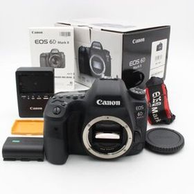【美品】 Canon キヤノン EOS 6D Mark II ボディ デジタル 一眼レフ カメラ CANON キャノン 元箱 付属品 付き 91013